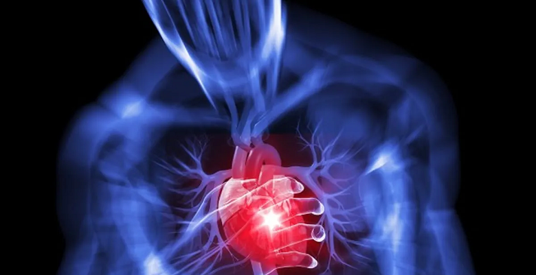 Kalp ve Damar Hastalıklarından Korunmak İçin 15 Yöntem